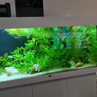 Acquario JUWEL 180 led