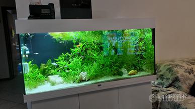 Acquario JUWEL 180 led