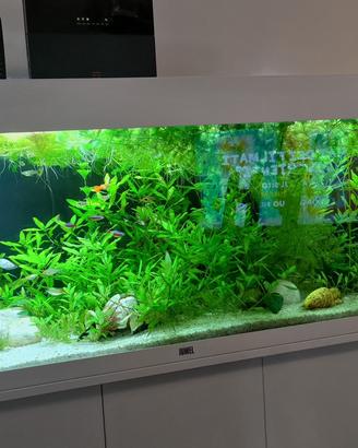 Acquario JUWEL 180 led