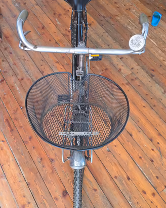bicicletta 