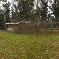 Terreno agricolo Borgo Hermada