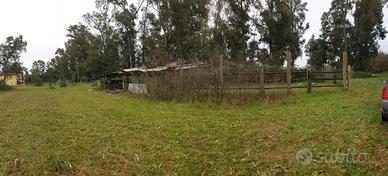 Terreno agricolo Borgo Hermada