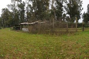 Terreno agricolo Borgo Hermada