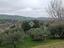Immagine 22