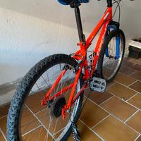 bici esperia
