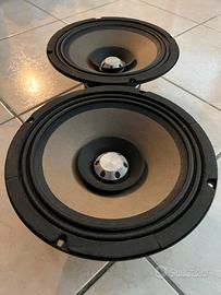 Woofer AXP 350 Watt rms