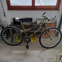 MTB bici  Bianchi Thomisus ragno 