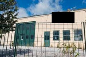RGE 7/2025 Trib Urbino