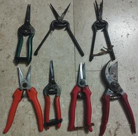 forbici vendemmia giardinaggio 