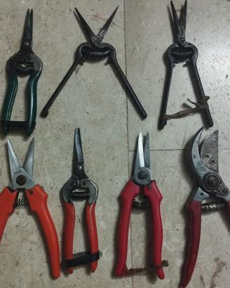 forbici vendemmia giardinaggio 