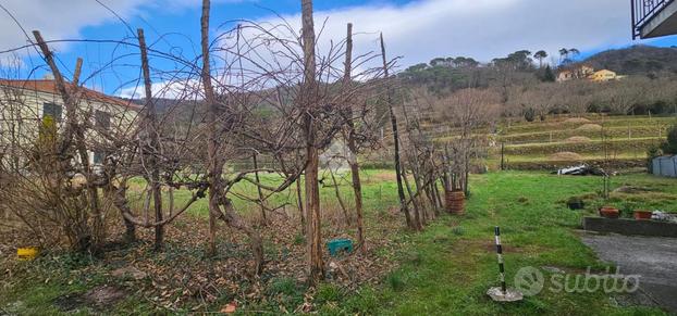 TERRENO A SAN COLOMBANO CERTENOLI