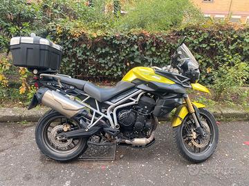 Triumph tiger 800