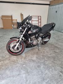 honda hornet 