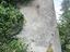 Immagine 8
