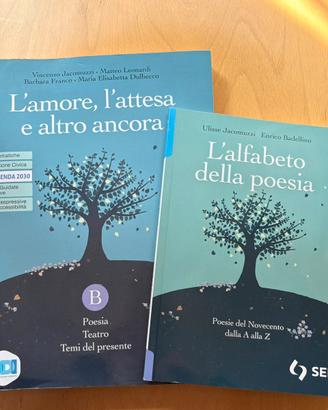 L’amore, l’attesa e altro ancora – Volume B