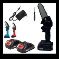 motosega doppia batteria 