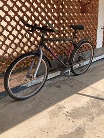 Mountain bike