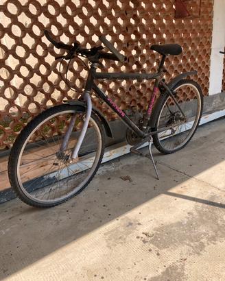 Mountain bike