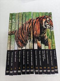 Collezione 12 DVD  – Animali selvaggi