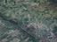 Immagine 26