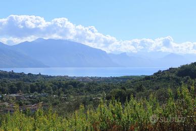 Terreno Agricolo Santa Marina (Policastro Bussenti