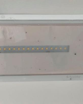 3 Lampade Emergenza LED Schneider Exiway Light OVA
