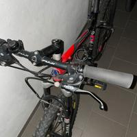 Bici mtb