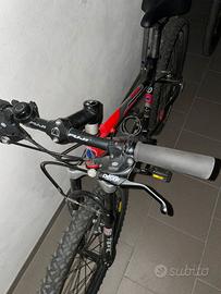 Bici mtb