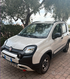 Fiat Panda 4x40 limited edition