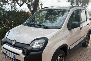 Fiat Panda 4x40 limited edition