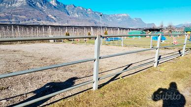 recinto in alluminio x cavalli ca 140m