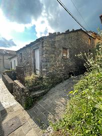 Caratteristica casa in pietra con giardino