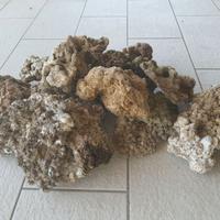 Rocce vive acquario marino