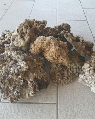 Rocce vive acquario marino