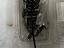 Immagine 5