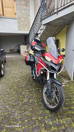 Multistrada 950 2017