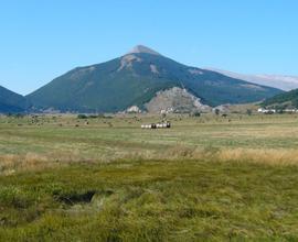 Terreni uso agricolo, agrituristico e allevamento