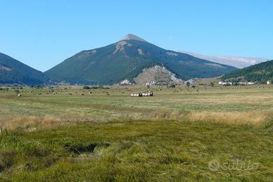 Terreni uso agricolo, agrituristico e allevamento