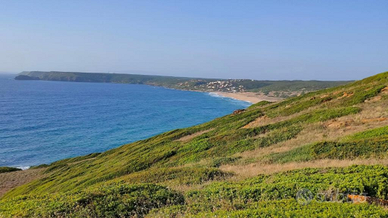 Appartamento in casa con cortili Arbus Sardegna