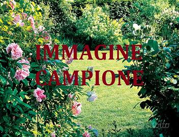 TERRENO AGRICOLO 7,2 campi vicentini