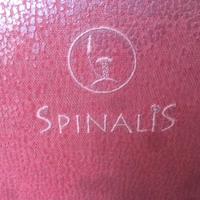 Sedia ortopedica Spinalis