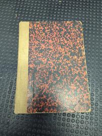 raccolta riviste home chat anno 1895