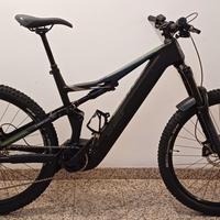 e-bike Whistle BRush CA 6.5