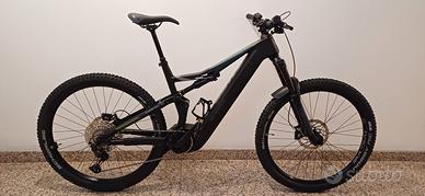 e-bike Whistle BRush CA 6.5