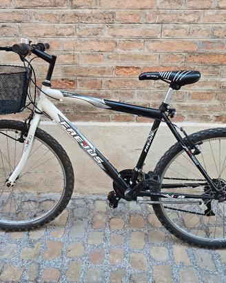 Mountain Bike Frejus 26" con cestino