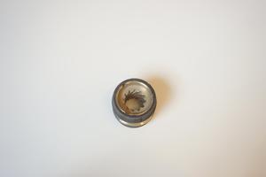 Cono TMC40/TMC60