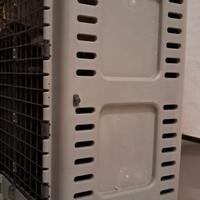 Trasportino per cane taglia media grande