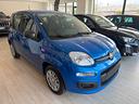 fiat-panda-1-0-firefly-s-s-hybrid-icon