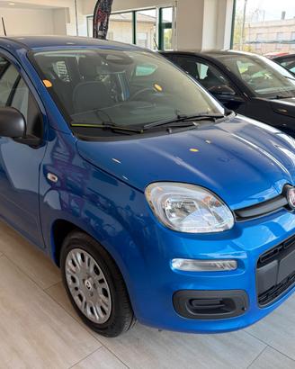 Fiat Panda 1.0 FireFly S&S Hybrid Icon