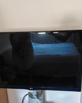 Tv LG 28" HD Ready
